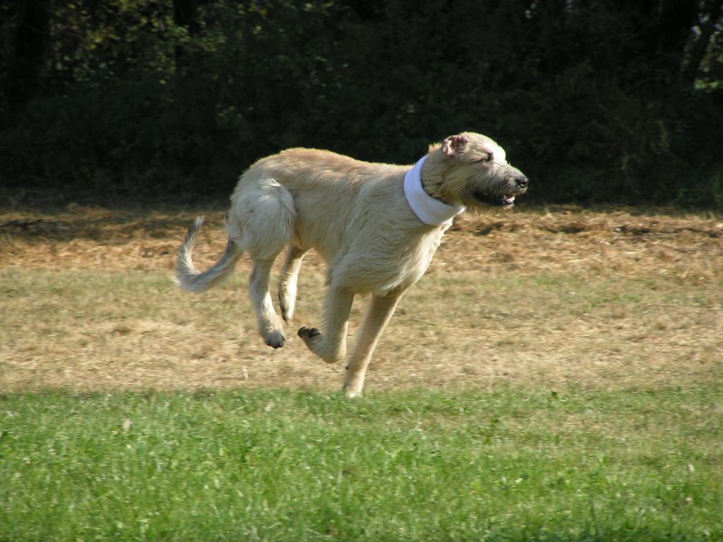 PICT0084.jpg
